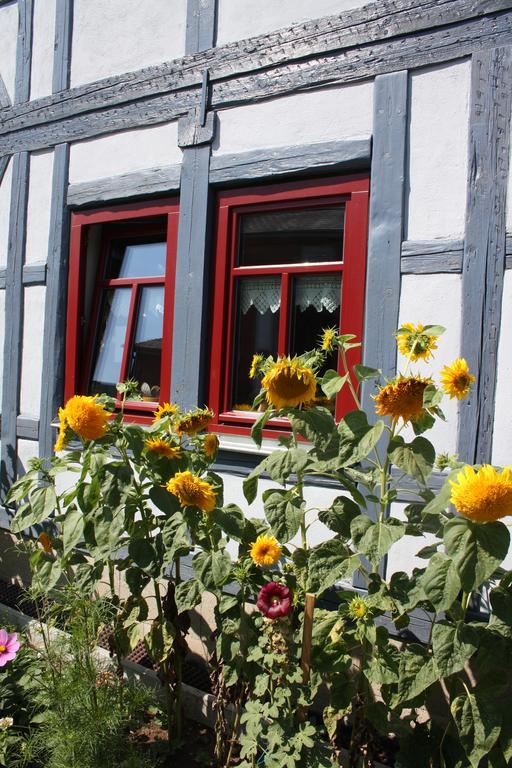 Cafe Landart Im Thueringer Finistere Apartment Plaue  Exterior photo